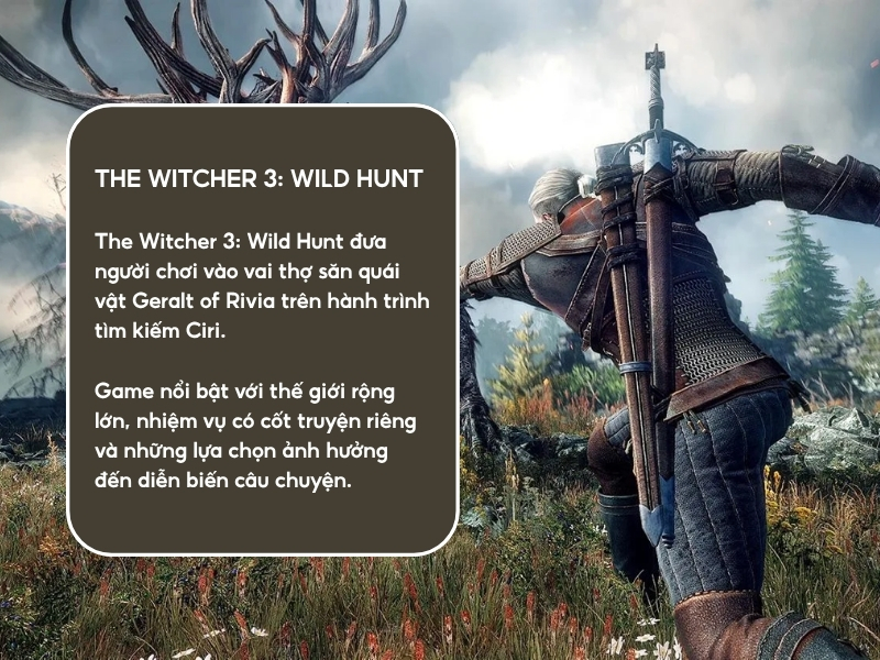 The Witcher 3: Wild Hunt. 