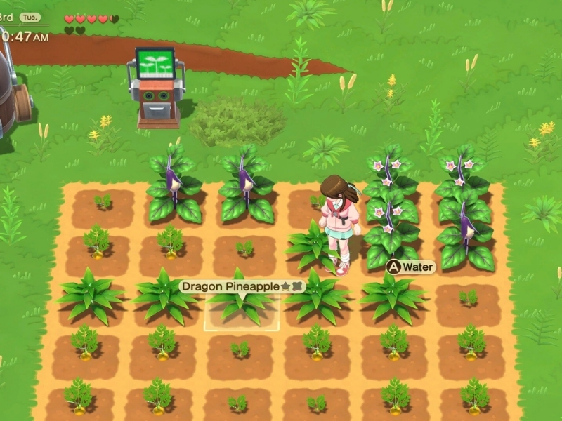 Làng quê trong Harvest Moon Home Sweet Home