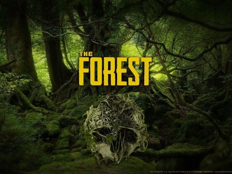 Game sinh tồn hay The Forest